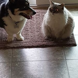 Meet your Posher, Ann m